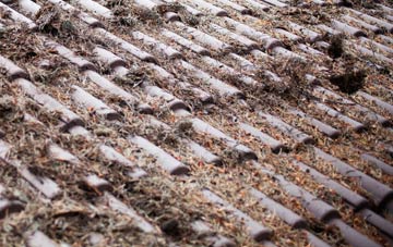 Stiff Street roof cleaning companies